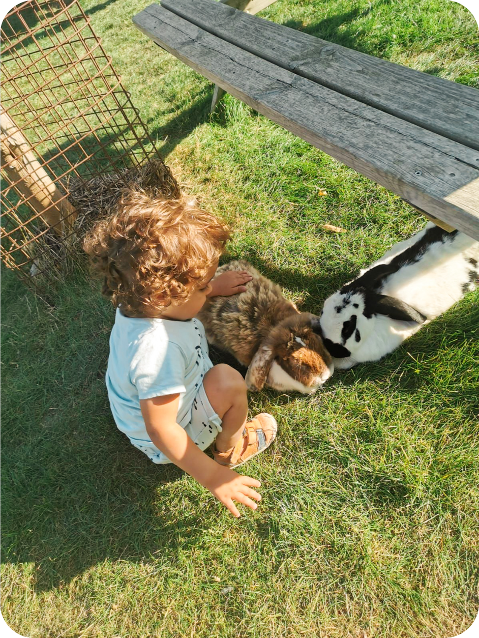 jardin micro crèche nature lapalud